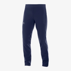 {{productViewItem.photos[photoViewList.activeNavIndex].Alt || productViewItem.photos[photoViewList.activeNavIndex].Description || 'Брюки SALOMON RS WARM Softshell M'}}