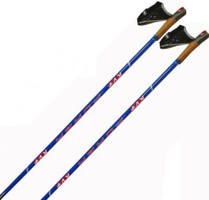 {{productViewItem.photos[photoViewList.activeNavIndex].Alt || productViewItem.photos[photoViewList.activeNavIndex].Description || 'Палки лыжные KV+ FORZA Blue Clip 100% Carbon'}}