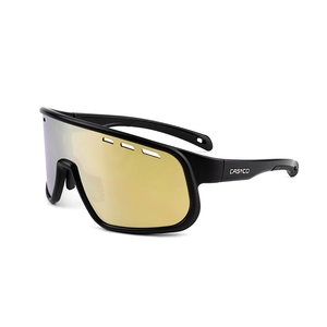 {{productViewItem.photos[photoViewList.activeNavIndex].Alt || productViewItem.photos[photoViewList.activeNavIndex].Description || 'Очки CASCO SX-25 black goldmirror'}}