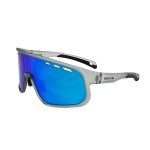 {{productViewItem.photos[photoViewList.activeNavIndex].Alt || productViewItem.photos[photoViewList.activeNavIndex].Description || 'Очки CASCO SX-25 smoke clear bluemirror'}}