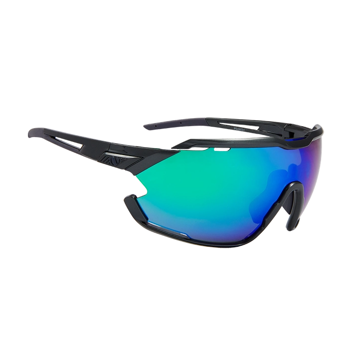 Очки NORTHUG GOLD PERFORMANCE Black Standart PN05031-400-1