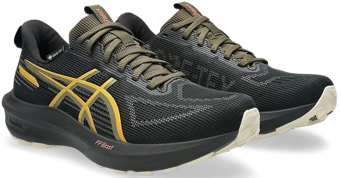 Кроссовки женсие для бега ASICS GT-1000 14 Women GTX Black/Sandstorm 1012B857-001
