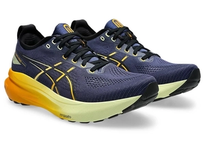 {{productViewItem.photos[photoViewList.activeNavIndex].Alt || productViewItem.photos[photoViewList.activeNavIndex].Description || 'Беговые кроссовки ASICS GEL-KAYANO 31 Indigo Blue/Gunmetal'}}