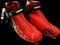 Ботинки лыжные ALPINA R combi - фото 21128