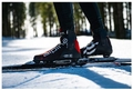 Ботинки лыжные ALPINA COMP Skate 23/24 5410-1B