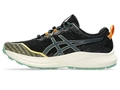Кроссовки ASICS FujiLyte 4 Black/Magnetic Blue 1011B698-002