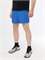 Шорты MOAX Sport мужские синии 264661-72107