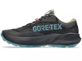 Кроссовки ASICS TRABUCO 14 GTX Black/Misty Pine 1011C165-001